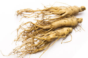 オタネニンジン根