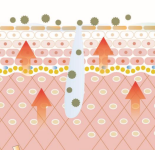ハーブオブトリートメント